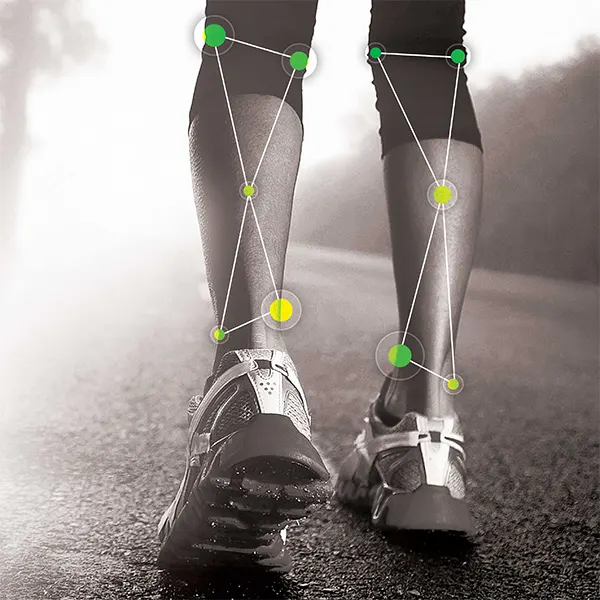 THE INTERPLAY BETWEEN A HEALTHY IMMUNE SYSTEM AND HEALTHY FASCIA