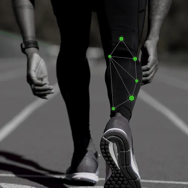 Structure Drives Function